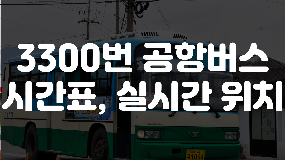 3300번 공항버스 시간표, 실시간 위치 이미지