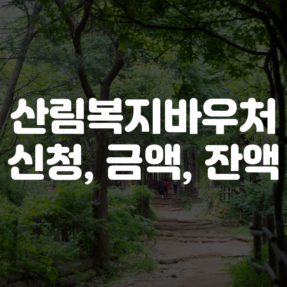 산림복지바우처 사용처, 신청기간, 금액 안내