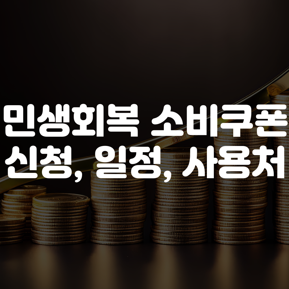 민생회복 소비쿠폰 신청방법 안내 이미지