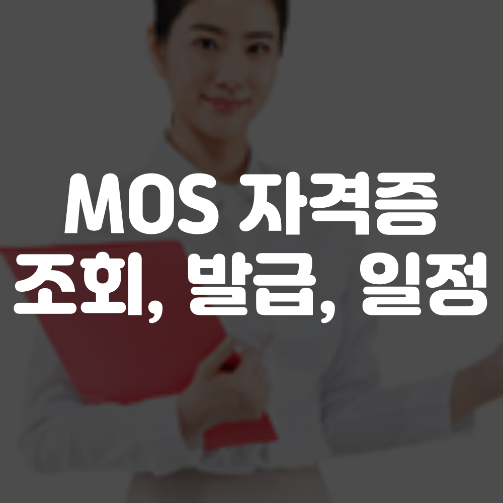 MOS 자격증 조회 방법 이미지