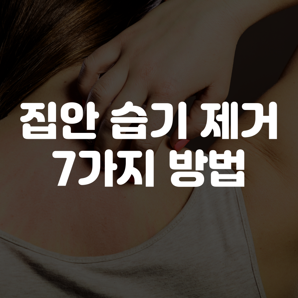 집안 습기 제거 방법 7가지 이미지