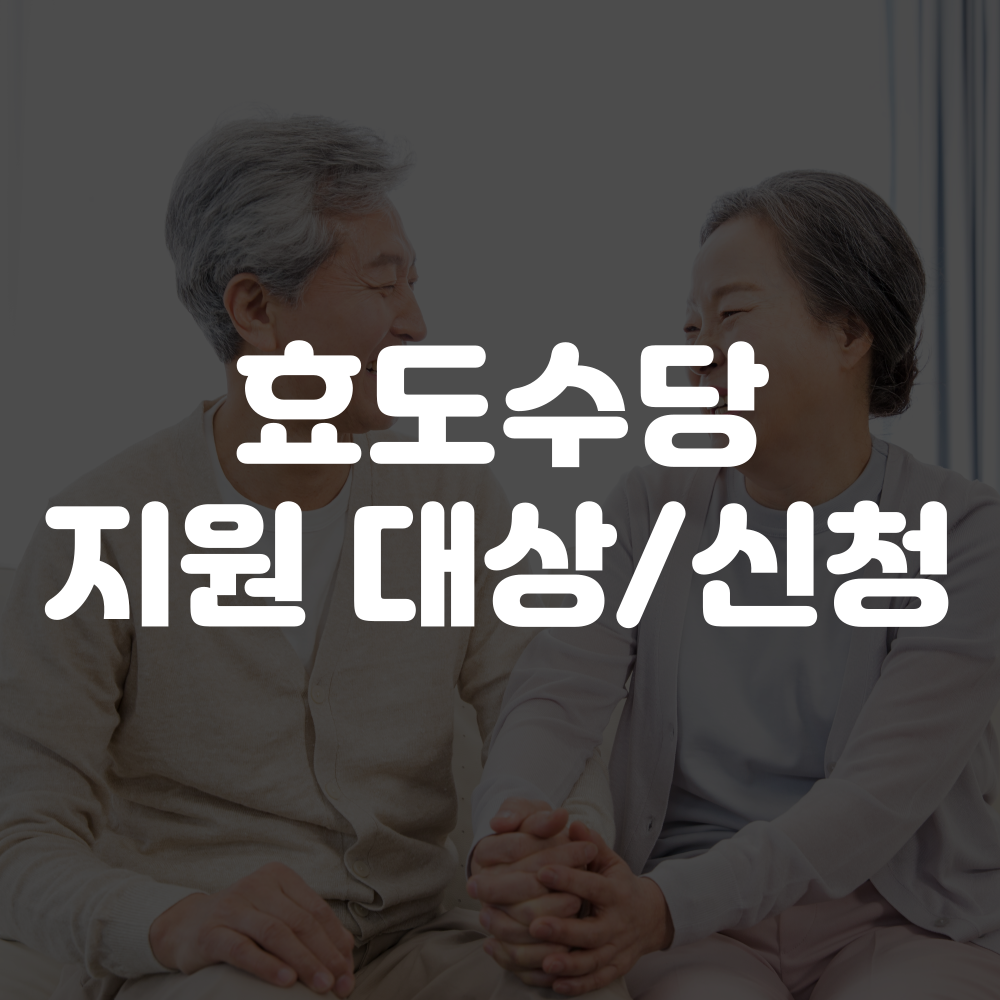 효도수당 신청방법 및 지원대상 안내 이미