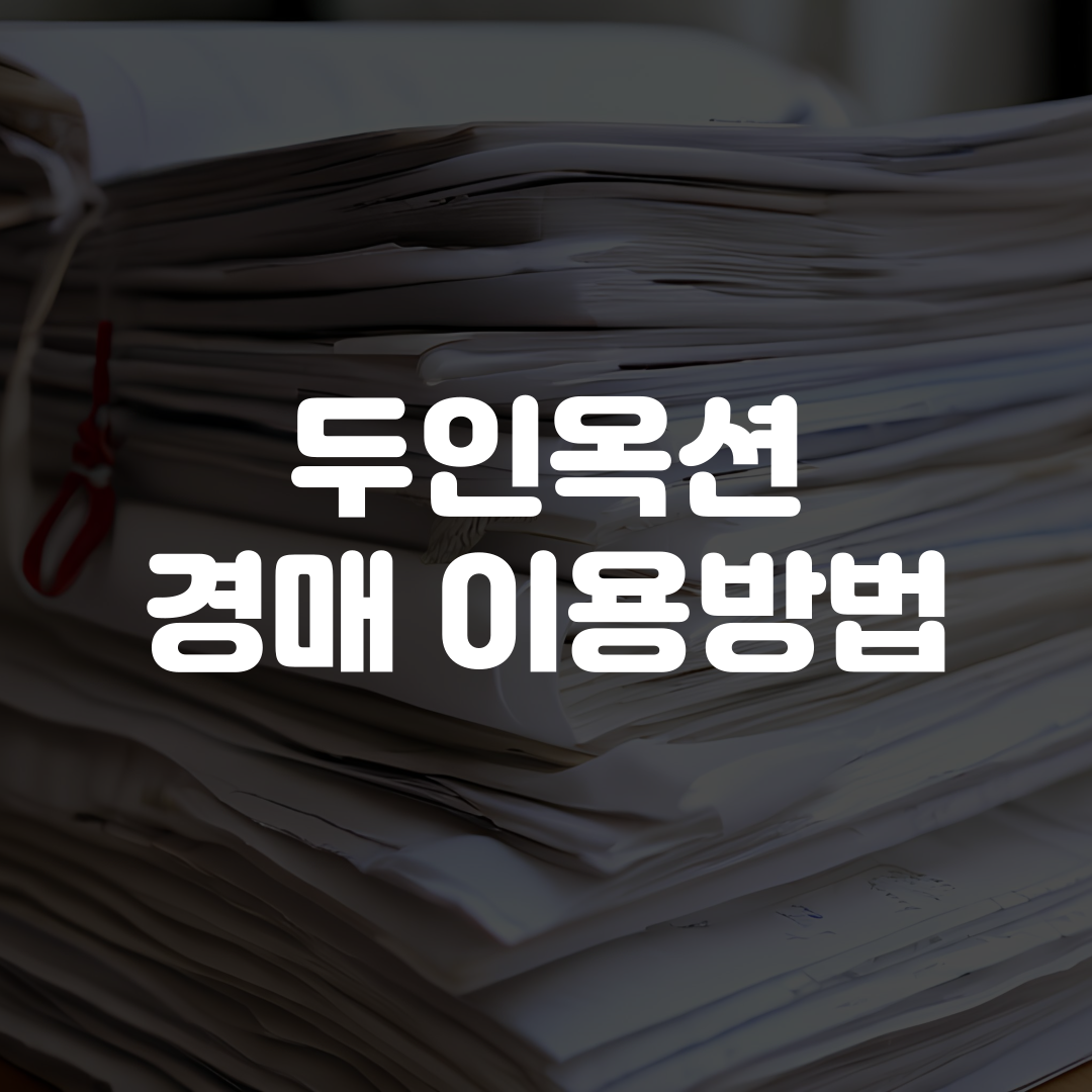 두인옥션 경매 이용방법