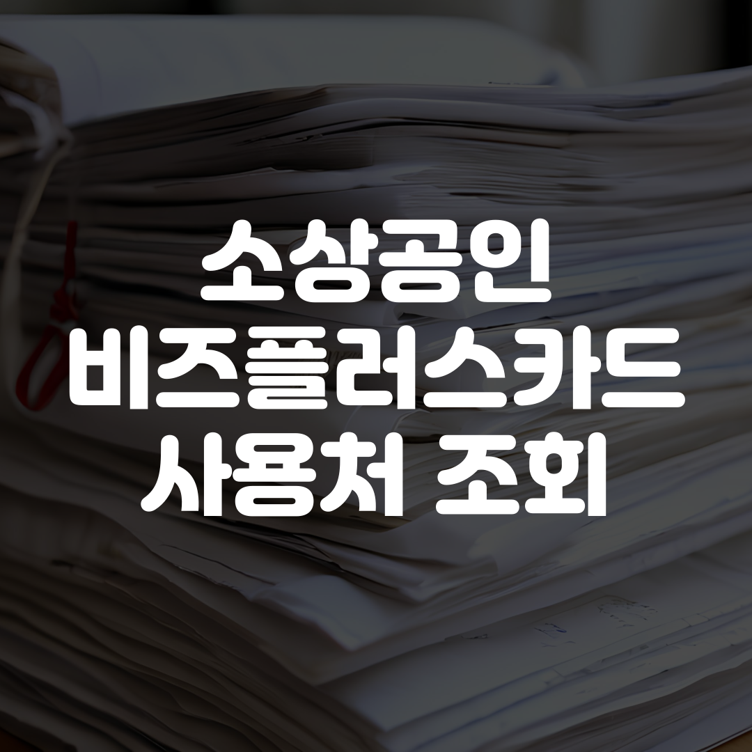 소상공인 비즈플러스카드 사용처 조회